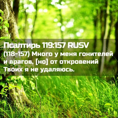 Picture 02 - Псалтирь 119:157 RUSV - (118-157) Много у меня - Bible Verse Picture