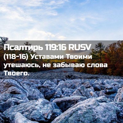 Picture 02 - Псалтирь 119:16 RUSV - (118-16) Уставами Твоими - Bible Verse Picture