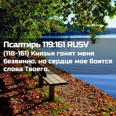 Picture 02 - Псалтирь 119:161 RUSV - (118-161) Князья гонят меня - Bible Verse Picture