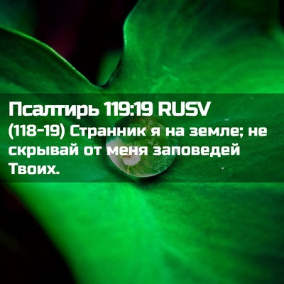 Picture 02 - Псалтирь 119:19 RUSV - (118-19) Странник я на земле; - Bible Verse Picture
