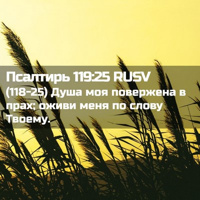 Picture 02 - Псалтирь 119:25 RUSV - (118-25) Душа моя повержена в - Bible Verse Picture