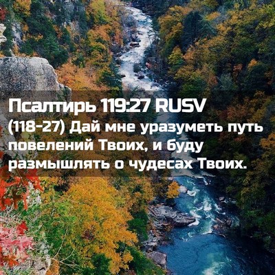 Picture 02 - Псалтирь 119:27 RUSV - (118-27) Дай мне уразуметь - Bible Verse Picture