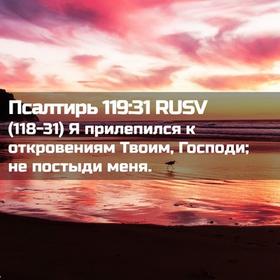 Picture 02 - Псалтирь 119:31 RUSV - (118-31) Я прилепился к - Bible Verse Picture