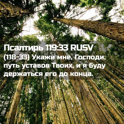 Picture 02 - Псалтирь 119:33 RUSV - (118-33) Укажи мне, Господи, - Bible Verse Picture
