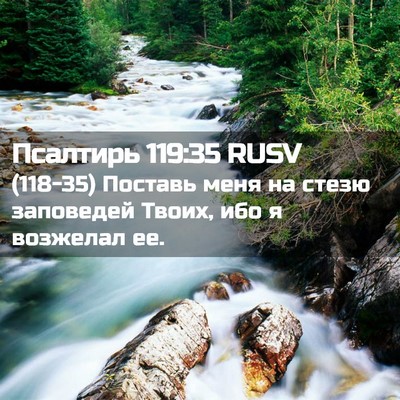 Picture 02 - Псалтирь 119:35 RUSV - (118-35) Поставь меня на стезю - Bible Verse Picture