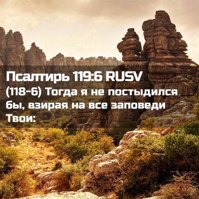 Picture 02 - Псалтирь 119:6 RUSV - (118-6) Тогда я не постыдился - Bible Verse Picture