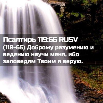 Picture 02 - Псалтирь 119:66 RUSV - (118-66) Доброму разумению и - Bible Verse Picture