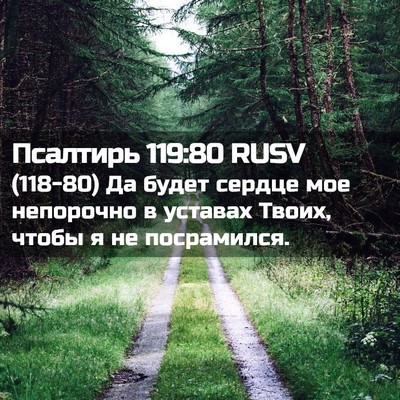 Picture 02 - Псалтирь 119:80 RUSV - (118-80) Да будет сердце мое - Bible Verse Picture