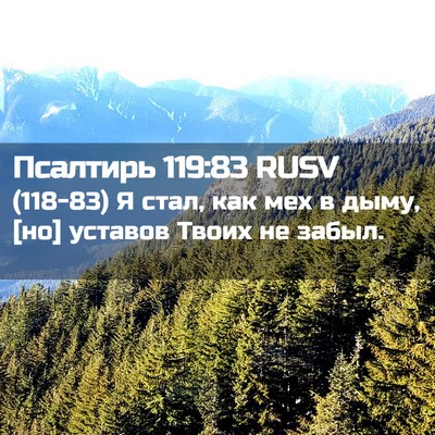 Picture 02 - Псалтирь 119:83 RUSV - (118-83) Я стал, как мех в дыму, - Bible Verse Picture