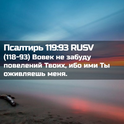 Picture 02 - Псалтирь 119:93 RUSV - (118-93) Вовек не забуду - Bible Verse Picture
