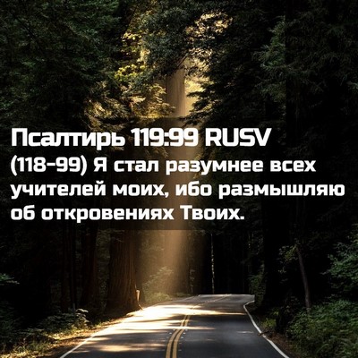 Picture 02 - Псалтирь 119:99 RUSV - (118-99) Я стал разумнее всех - Bible Verse Picture