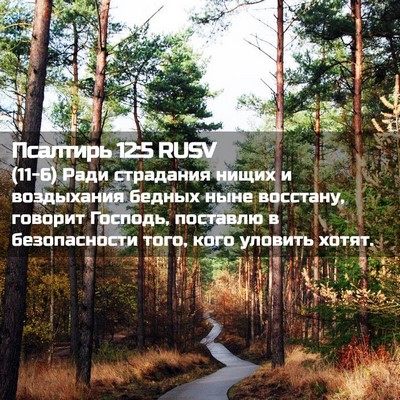 Picture 02 - Псалтирь 12:5 RUSV - (11-6) Ради страдания нищих и - Bible Verse Picture