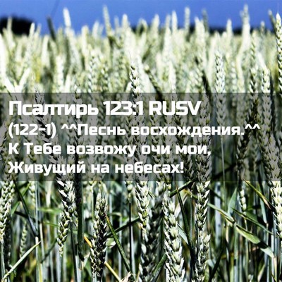 Picture 02 - Псалтирь 123:1 RUSV - (122-1) ^^Песнь восхождения.^^ К - Bible Verse Picture