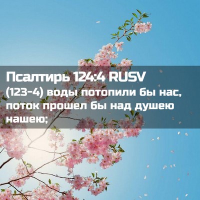 Picture 02 - Псалтирь 124:4 RUSV - (123-4) воды потопили бы нас, - Bible Verse Picture