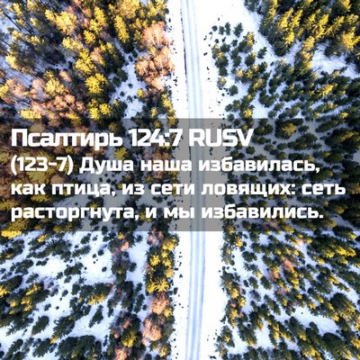 Picture 02 - Псалтирь 124:7 RUSV - (123-7) Душа наша избавилась, - Bible Verse Picture
