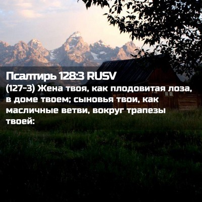 Picture 02 - Псалтирь 128:3 RUSV - (127-3) Жена твоя, как - Bible Verse Picture