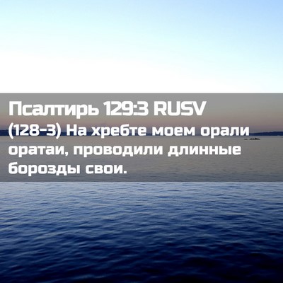 Picture 02 - Псалтирь 129:3 RUSV - (128-3) На хребте моем орали - Bible Verse Picture