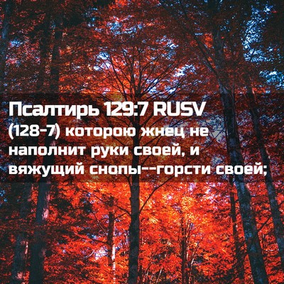 Picture 02 - Псалтирь 129:7 RUSV - (128-7) которою жнец не - Bible Verse Picture
