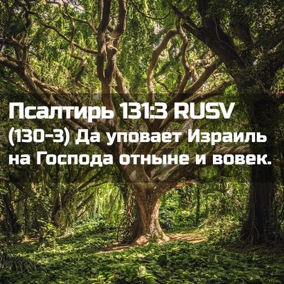Picture 02 - Псалтирь 131:3 RUSV - (130-3) Да уповает Израиль на - Bible Verse Picture