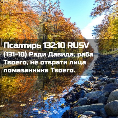 Picture 02 - Псалтирь 132:10 RUSV - (131-10) Ради Давида, раба - Bible Verse Picture