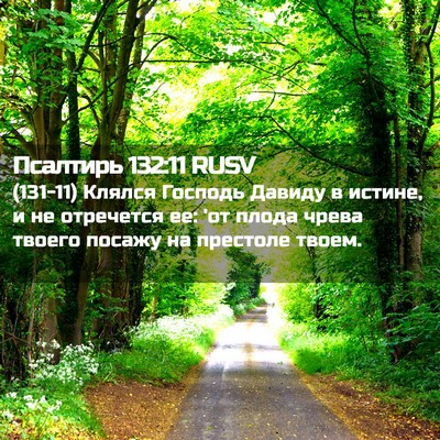 Picture 02 - Псалтирь 132:11 RUSV - (131-11) Клялся Господь Давиду - Bible Verse Picture