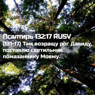 Picture 02 - Псалтирь 132:17 RUSV - (131-17) Там возращу рог - Bible Verse Picture