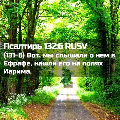 Picture 02 - Псалтирь 132:6 RUSV - (131-6) Вот, мы слышали о нем в - Bible Verse Picture
