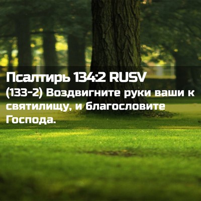 Picture 02 - Псалтирь 134:2 RUSV - (133-2) Воздвигните руки ваши - Bible Verse Picture