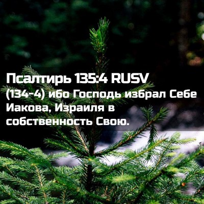 Picture 02 - Псалтирь 135:4 RUSV - (134-4) ибо Господь избрал - Bible Verse Picture