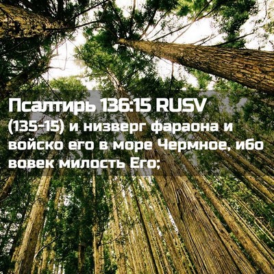 Picture 02 - Псалтирь 136:15 RUSV - (135-15) и низверг фараона и - Bible Verse Picture