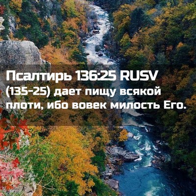 Picture 02 - Псалтирь 136:25 RUSV - (135-25) дает пищу всякой - Bible Verse Picture