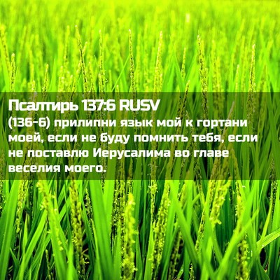 Picture 02 - Псалтирь 137:6 RUSV - (136-6) прилипни язык мой к - Bible Verse Picture