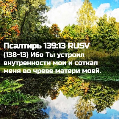 Picture 02 - Псалтирь 139:13 RUSV - (138-13) Ибо Ты устроил - Bible Verse Picture