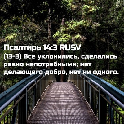 Picture 02 - Псалтирь 14:3 RUSV - (13-3) Все уклонились, - Bible Verse Picture