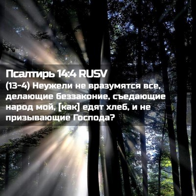 Picture 02 - Псалтирь 14:4 RUSV - (13-4) Неужели не вразумятся - Bible Verse Picture