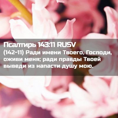 Picture 02 - Псалтирь 143:11 RUSV - (142-11) Ради имени Твоего, - Bible Verse Picture