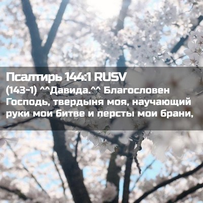 Picture 02 - Псалтирь 144:1 RUSV - (143-1) ^^Давида.^^ Благословен - Bible Verse Picture