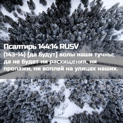 Picture 02 - Псалтирь 144:14 RUSV - (143-14) [да будут] волы наши - Bible Verse Picture