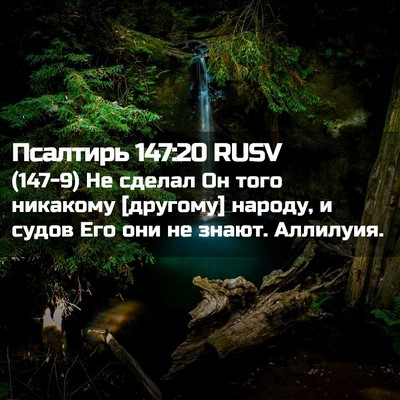 Picture 02 - Псалтирь 147:20 RUSV - (147-9) Не сделал Он того - Bible Verse Picture