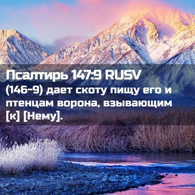 Picture 02 - Псалтирь 147:9 RUSV - (146-9) дает скоту пищу его и - Bible Verse Picture