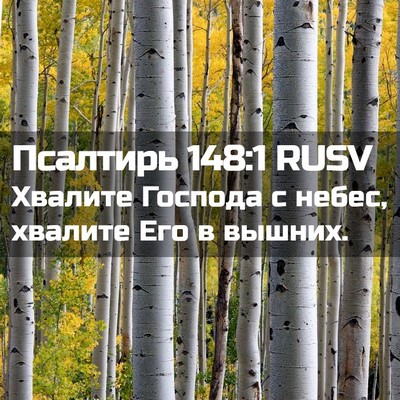 Picture 02 - Псалтирь 148:1 RUSV - Хвалите Господа с небес, - Bible Verse Picture