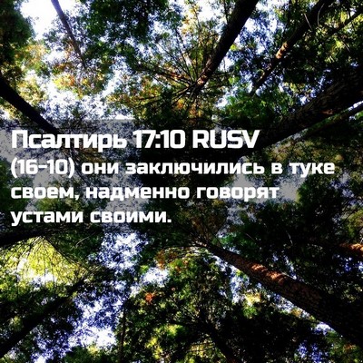 Picture 02 - Псалтирь 17:10 RUSV - (16-10) они заключились в туке - Bible Verse Picture