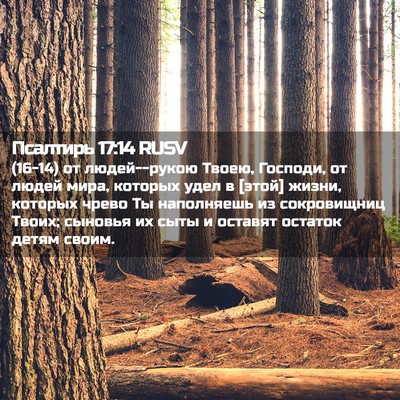 Picture 02 - Псалтирь 17:14 RUSV - (16-14) от людей--рукою Твоею, - Bible Verse Picture