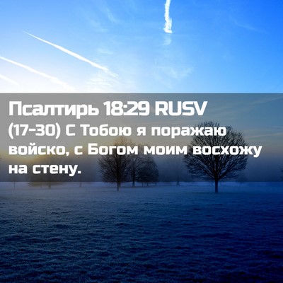 Picture 02 - Псалтирь 18:29 RUSV - (17-30) С Тобою я поражаю - Bible Verse Picture