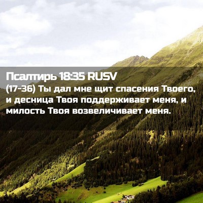 Picture 02 - Псалтирь 18:35 RUSV - (17-36) Ты дал мне щит - Bible Verse Picture