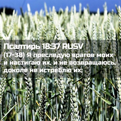 Picture 02 - Псалтирь 18:37 RUSV - (17-38) Я преследую врагов - Bible Verse Picture