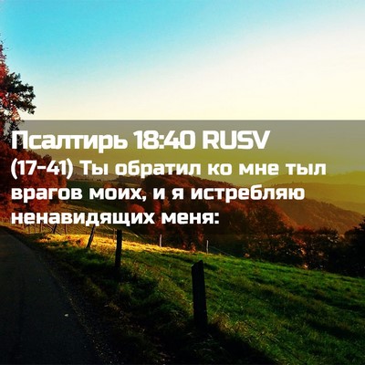 Picture 02 - Псалтирь 18:40 RUSV - (17-41) Ты обратил ко мне тыл - Bible Verse Picture