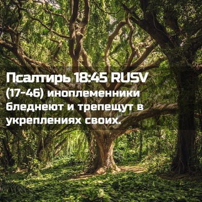Picture 02 - Псалтирь 18:45 RUSV - (17-46) иноплеменники - Bible Verse Picture