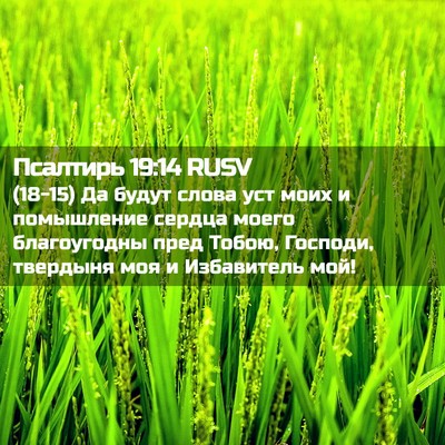Picture 02 - Псалтирь 19:14 RUSV - (18-15) Да будут слова уст - Bible Verse Picture