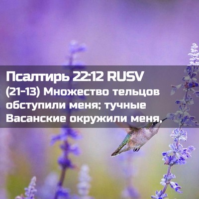 Picture 02 - Псалтирь 22:12 RUSV - (21-13) Множество тельцов - Bible Verse Picture